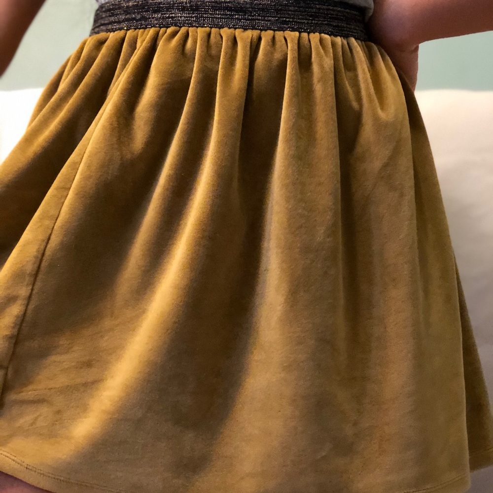 Velvet Skirt